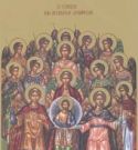 8 Νοεμβρίου